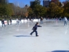 Schaatsen op de Frog Pond